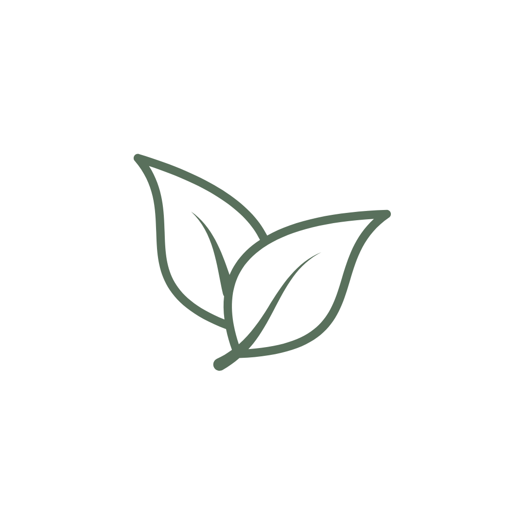 Green leaf icon on a white background