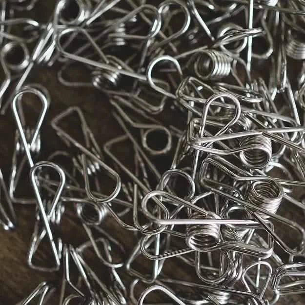 Stainless Steel Pegs 28pk - Living LaundryPEG - SS - 28